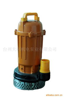 台州大利机电泵业污水泵与杂质泵产品列表指南